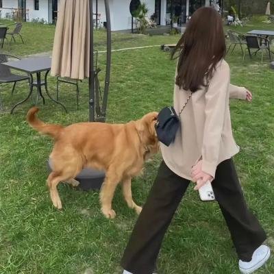 埋藏的宝藏